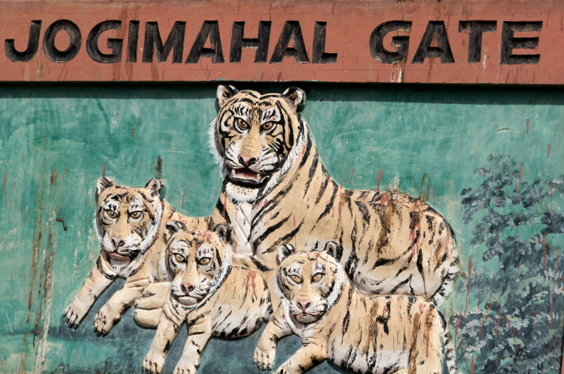 Jogi Mahal junto al Padam Talao en el Parque Nacional de Ranthambore, Rajasthan.