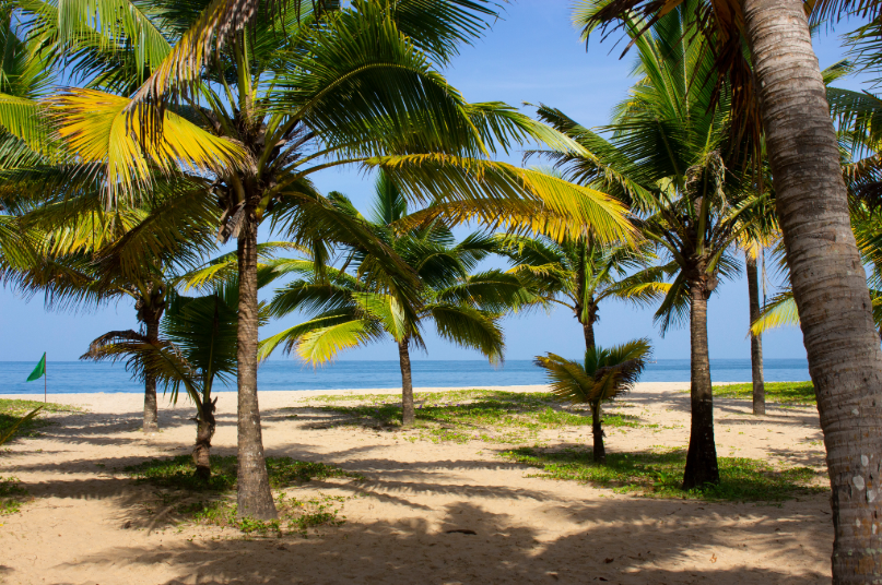 Playa de Marari en Kerala, con arena dorada, palmeras y el mar Arábigo.